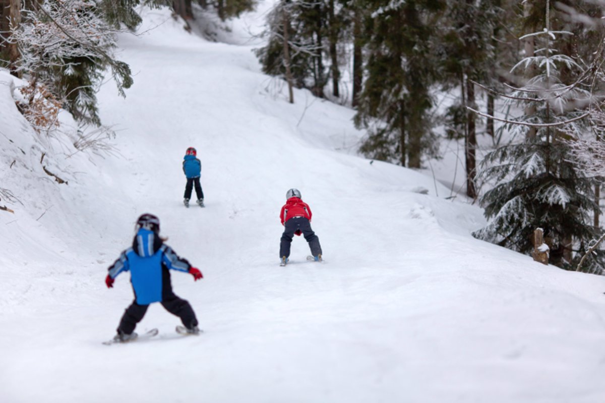 partido Democrático policía Fácil de suceder Esquí para niños: aprender a esquiar desde pequeños