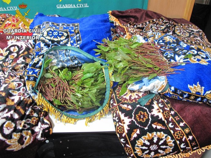 La droga iba camuflada como relleno de fundas de cojines decorativos