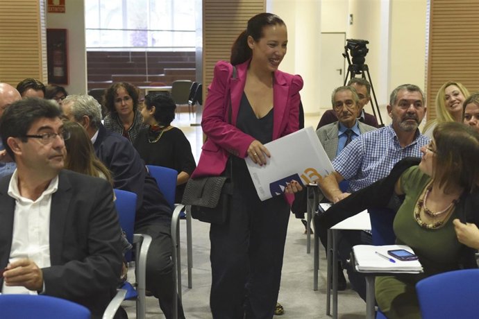 Patricia Hernández en el Consejo