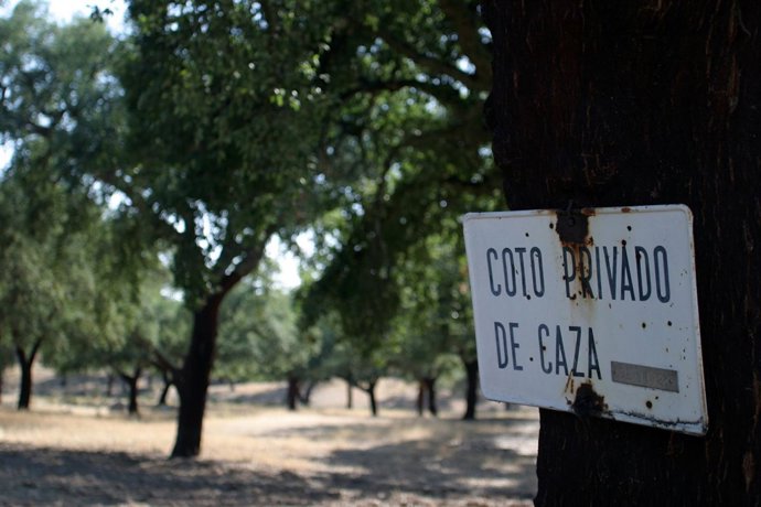 Sierra Norte de Sevilla. 