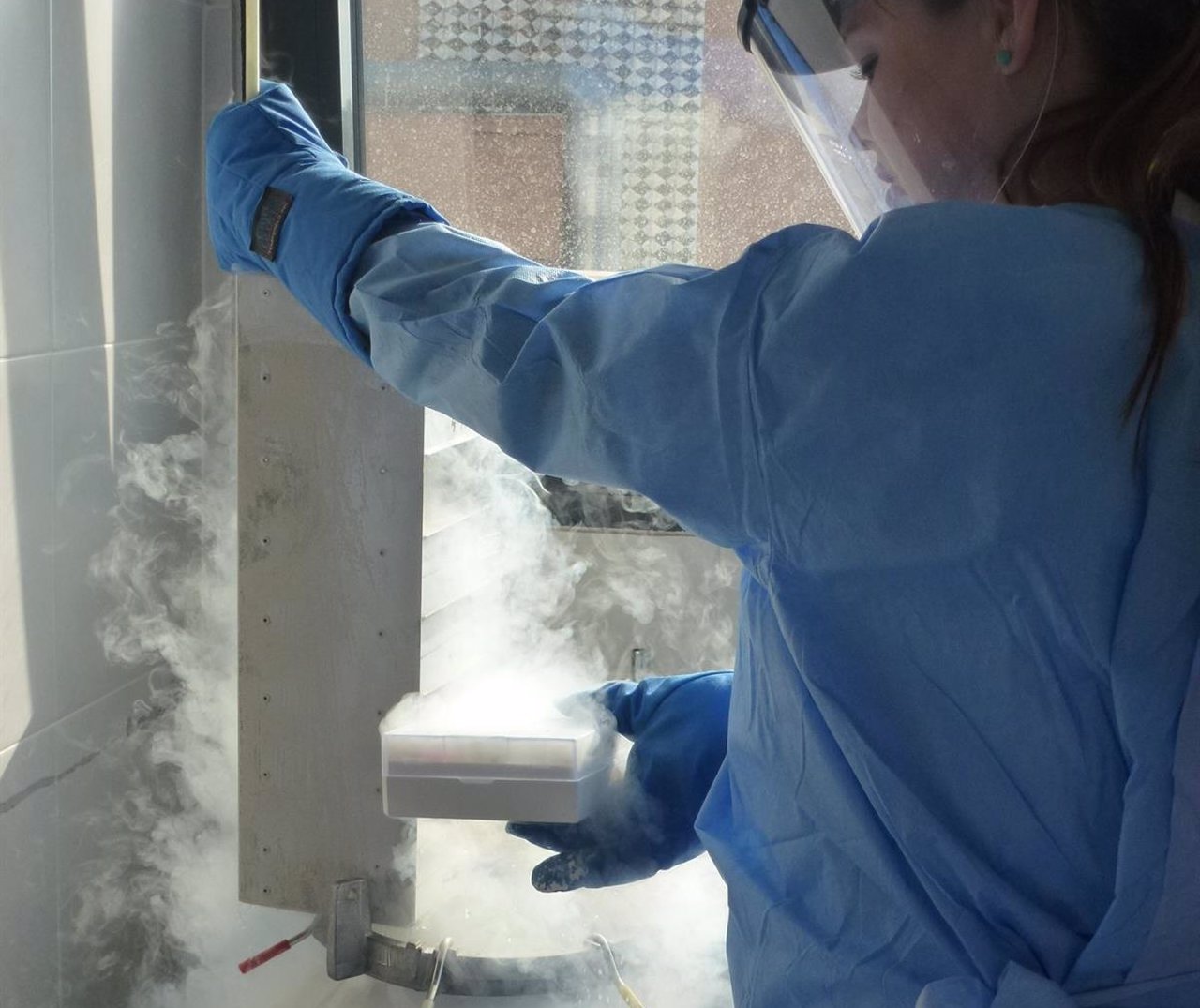 Muestras laboratorio Ébola