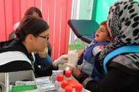 MSF denuncia que la política de los Balcanes tiene "efectos dramáticos" en los refugiados