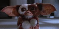 Gremlins 3 no será ni un remake ni un reboot