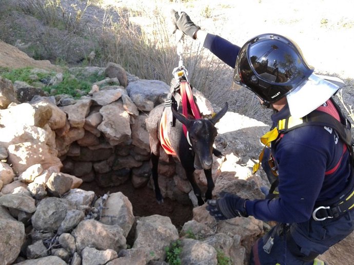 Bomberos rescatan a una cabra de un pozo de 14 metros