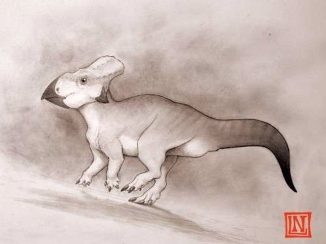 Leptoceratopsids