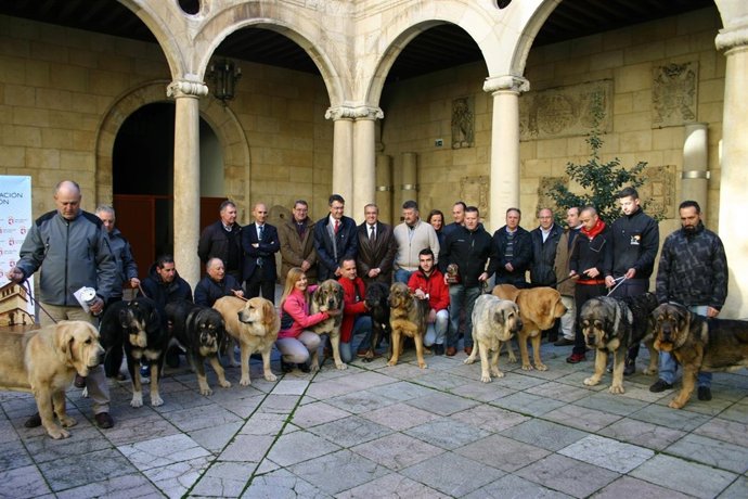 Entrega de premiso del XXIV Campeonato Provincial de Mastín
