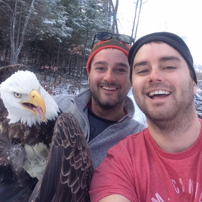 La de esta águila es la 'selfie' del año 2015 