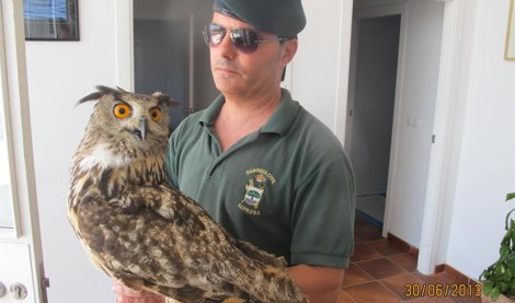 Cooperación y Desarrollo