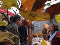 Homs reprocha al TC lo que "corre" con Cataluña mientras deja encallados asuntos cotidianos