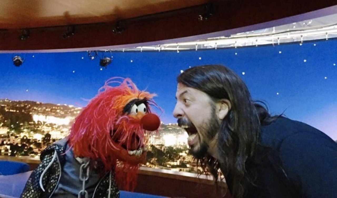 Animal y Dave Grohl