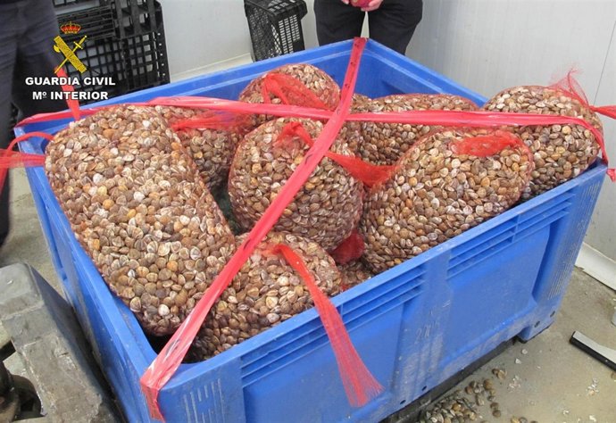 Chirla incautada en Huelva