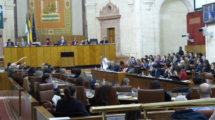 Imagen del Pleno del Parlamento