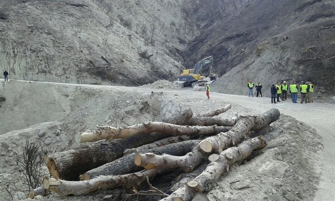 Actuación del Gobierno en la zona afectada por el incendio de Quesada.