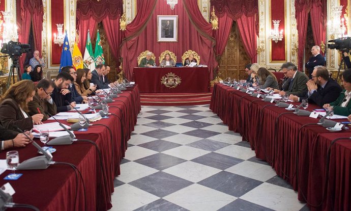 Pleno extraordinario de presupuestos de la Diputación de Cádiz