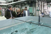 El Govern creará la Reserva marina del Freu de sa Dragonera