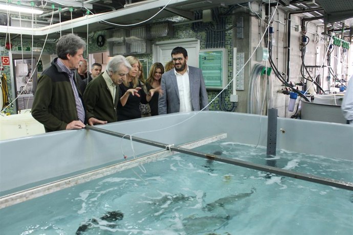 Vicenç Vidal en en el Laboratorio de Investigaciones Marinas y Acuicultura