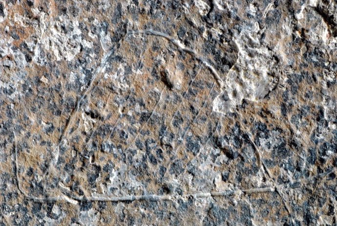 Uno de los motivos grabados en una placa hallada en el Molí del Salt