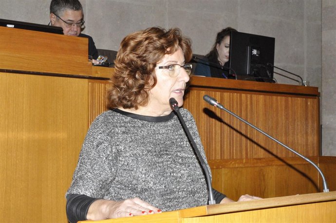 La consejera Victoria Broto