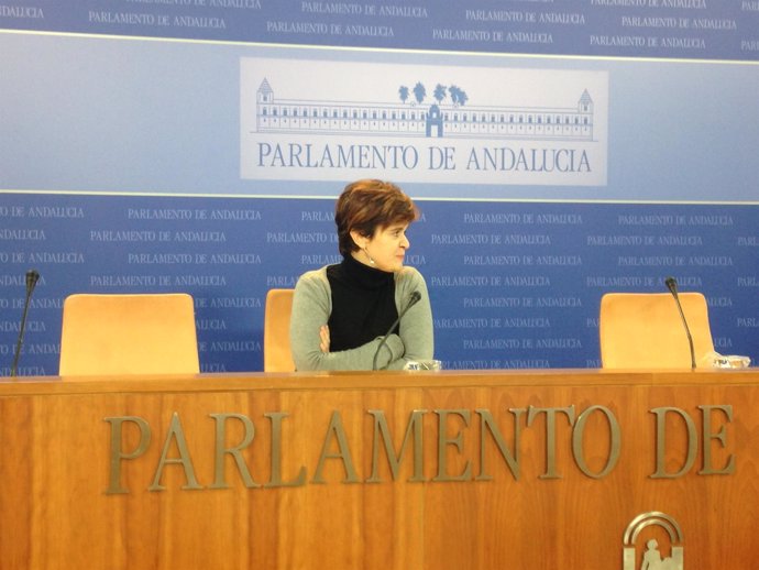 La portavoz adjunta de Podemos, Esperanza Gómez, en rueda de prensa