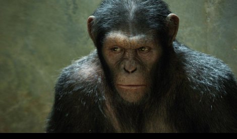 Cooperación y Desarrollo