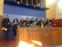 Colectivos de Delphi, Santana, asesores, promotores e Infoca censuran que PSOE-A y C's "bloqueen" enmiendas de Podemos