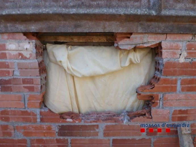 Detienen in fraganti a dos personas por robar cachorros de chihuahua 