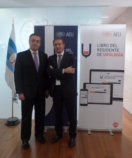  Asociación Española De Urología (AEU) 