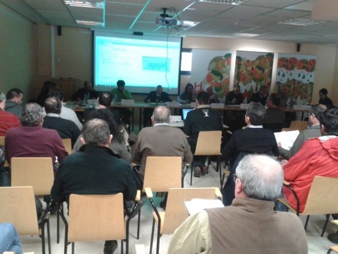 Subasta de madera en Llavorsí