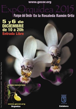 Orquídeas