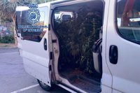 Tres detenidos en Almería cuando cargaban una furgoneta con 38 plantas de marihuana