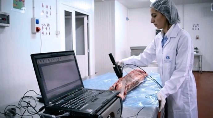 Investigación ASINCAR.