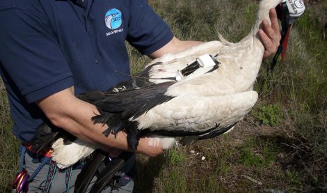 Cooperación y Desarrollo