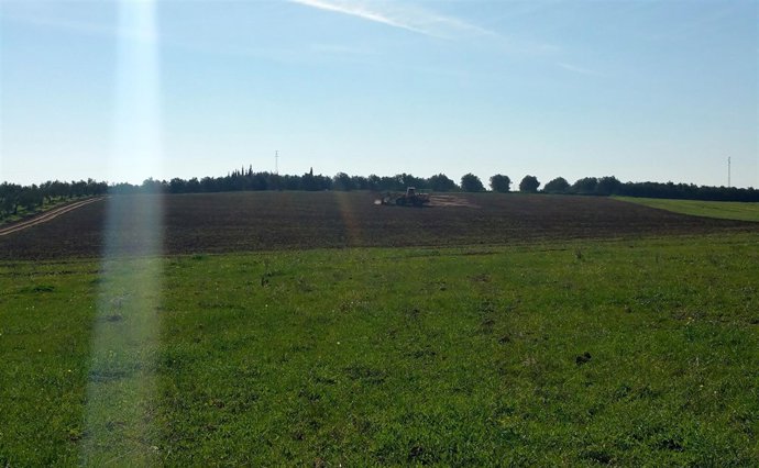 Suelos donde han comenzado las obras.