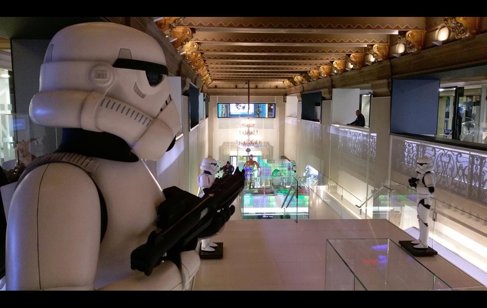 Foto: CARLOS HERGUETA