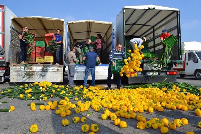 Agricultores arrojan pepinos y pimientos por las bajas cotizaciones