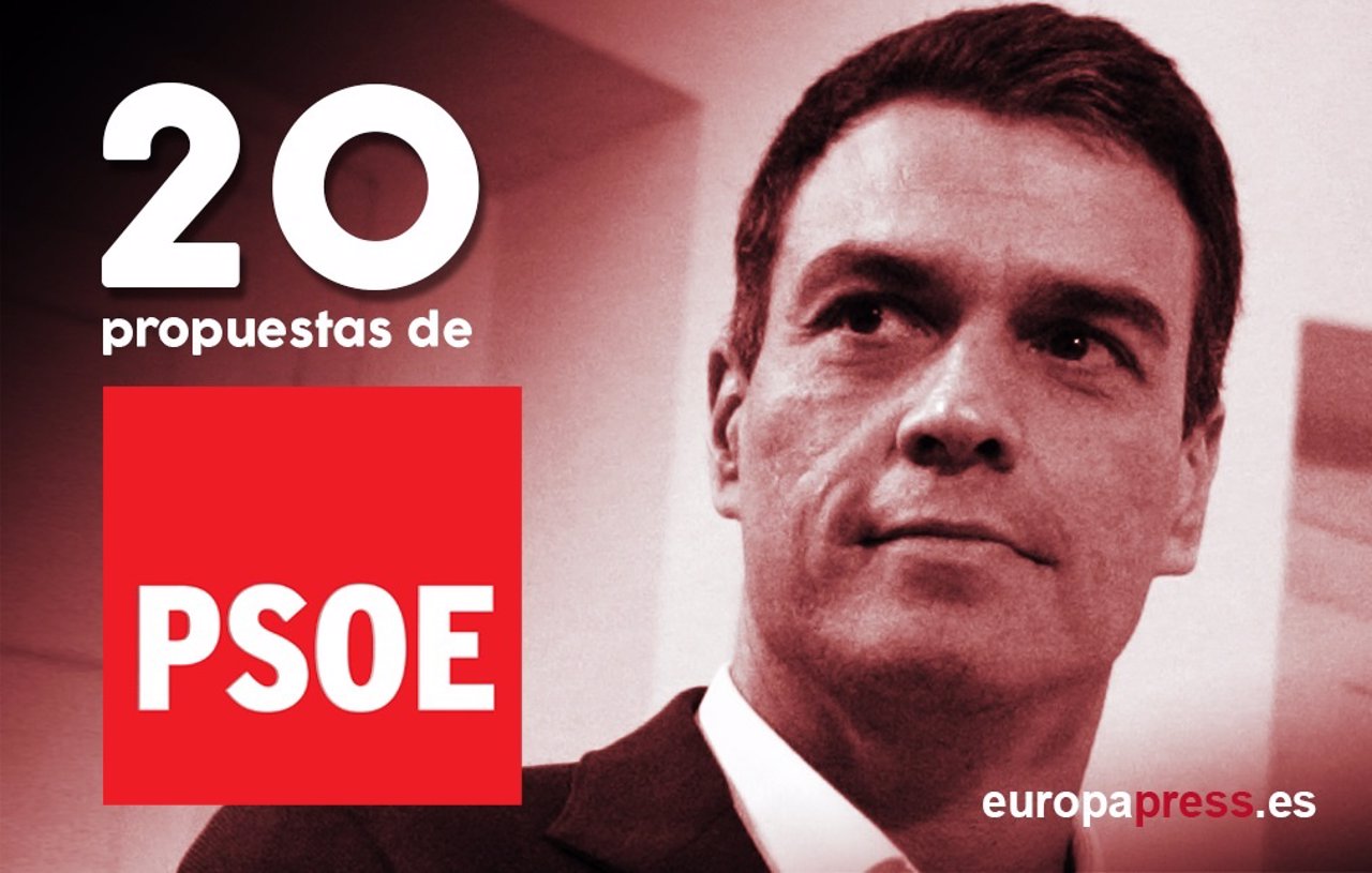 20 Propuestas Del PSOE