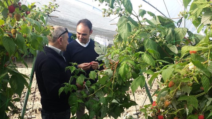 Visita a la empresa Frutas Borja, en la provincia de Huelva