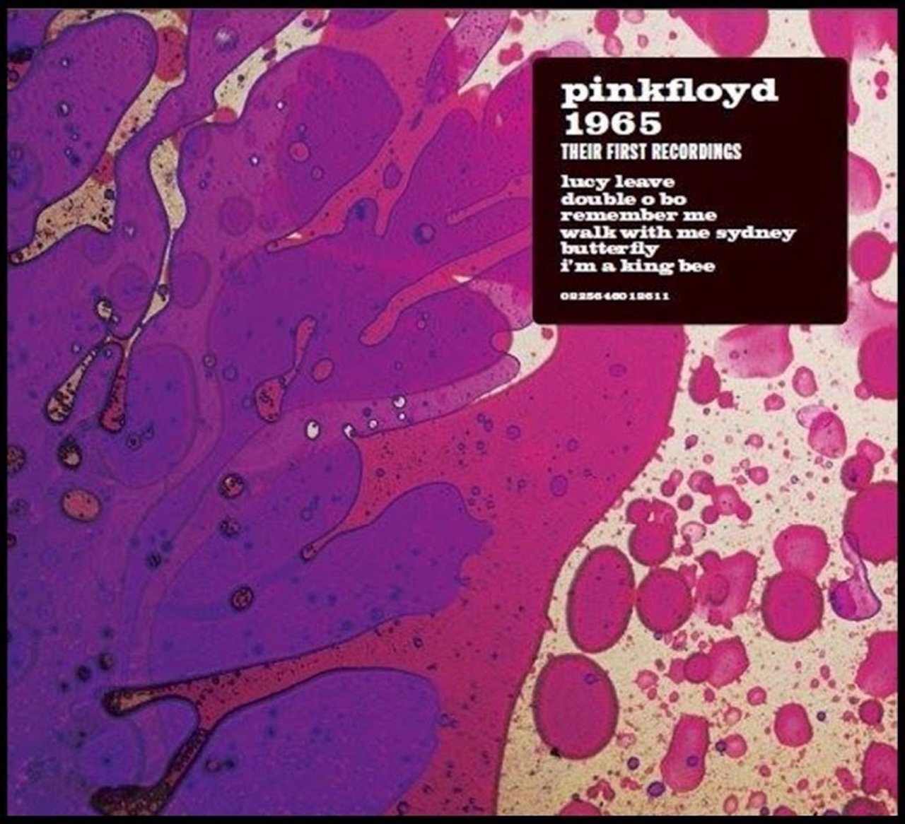 Pink Floyd 1965 - The First recordings