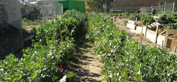 Huerto ecológico iu málaga para la gente propuesta