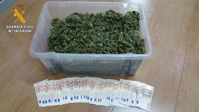 Cogollos de marihuana en Almodóvar