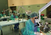 La Junta forma a 358 médicos internos residentes en Andalucía en cirugía