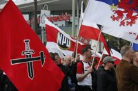 El Constitucional alemán admite a trámite una demanda para ilegalizar al partido neonazi NPD