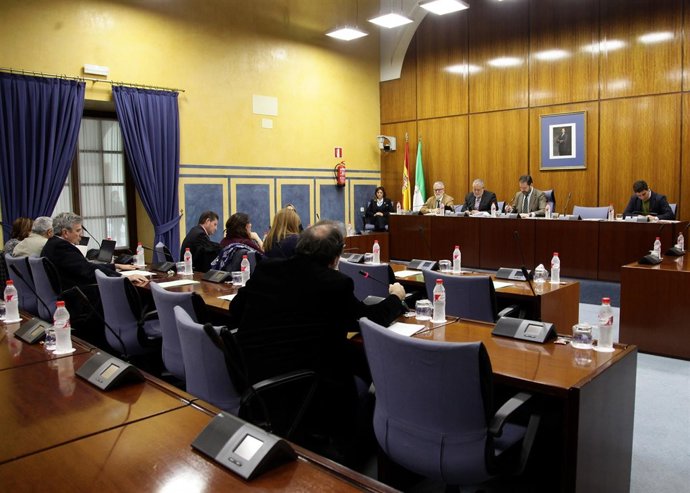 Comisión parlamentaria de RTVA