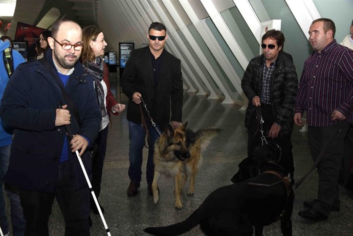 Exposiicón '25 años caminando juntos' de la ONCE de Cacsa