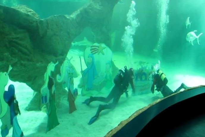 Vídeo de la noticia