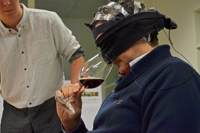 Investigación 'Los sonidos del vino'
