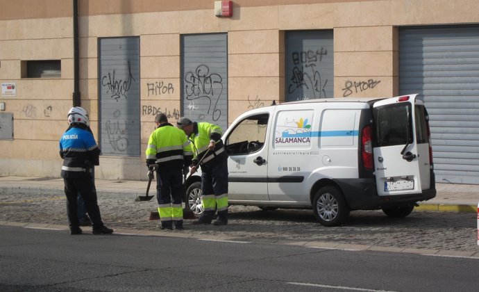 Operarios del Servicio Municipal de Limpieza de Salamanca.