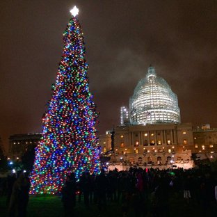 árbol de Navidad Casa Blanca Capitolio Washington
