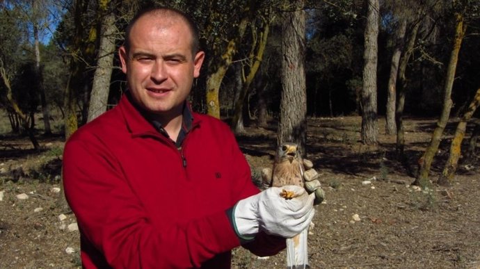 El delegado de Medio Ambiente con uno de los cernícalos liberados