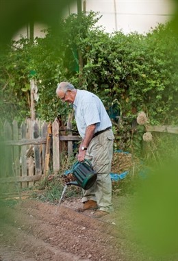 Huertos sociales en San Jerónimo.